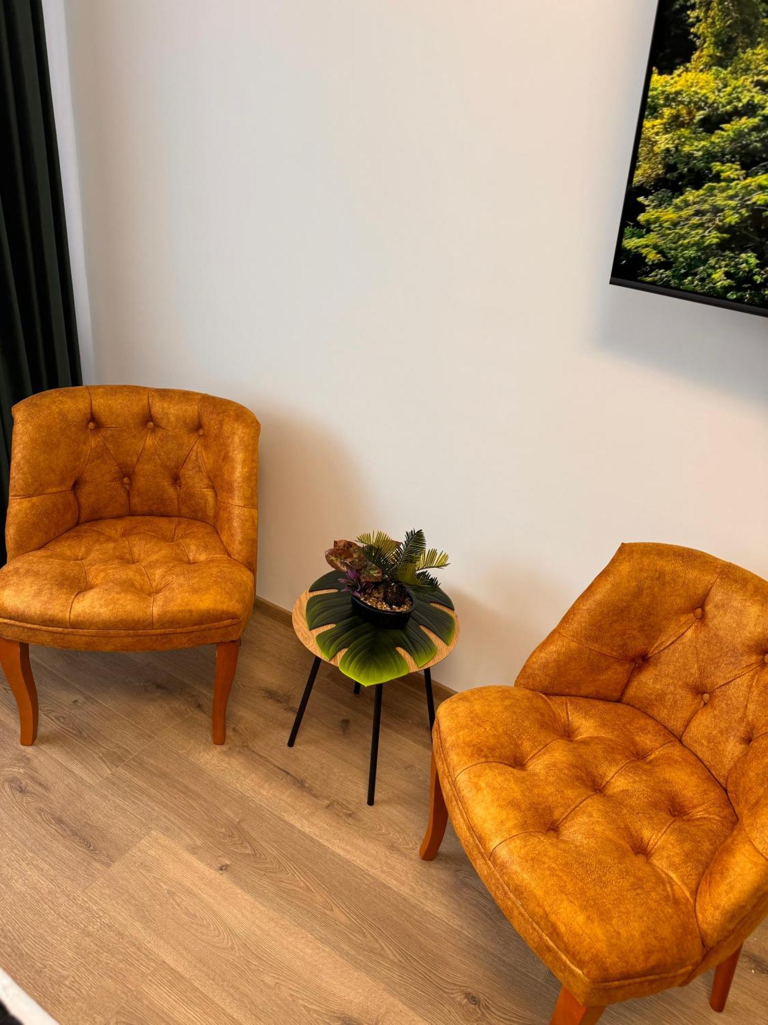 Jungle Loft Apartman Szucsáva Kültér fotó
