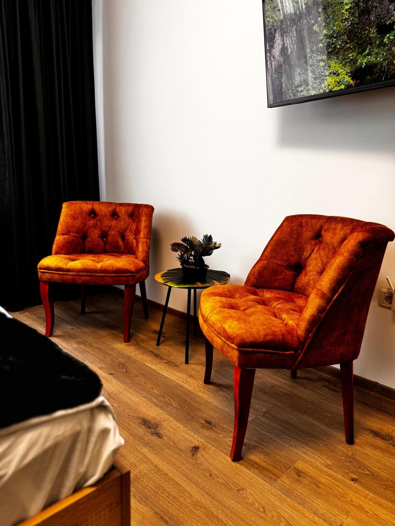 Jungle Loft Apartman Szucsáva Kültér fotó