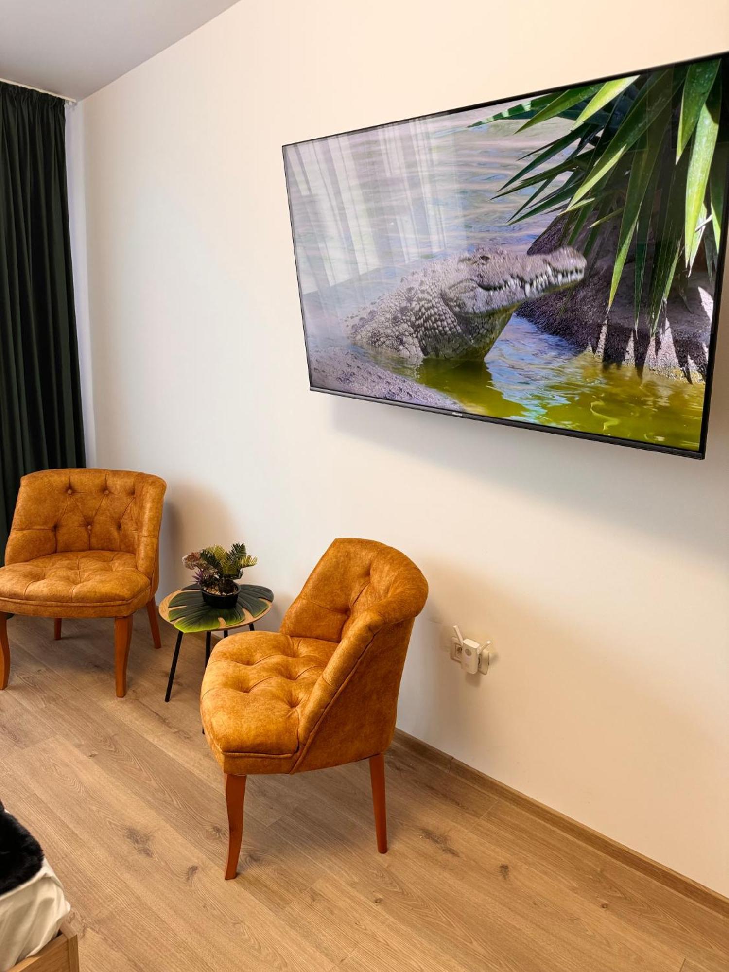 Jungle Loft Apartman Szucsáva Kültér fotó